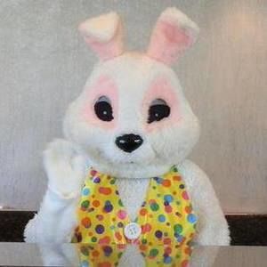 Meet your Posher, Max